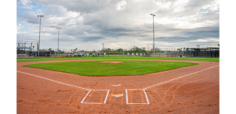 Palmetto Little League at Blackstone Park